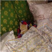 Esperienza pluriennale d'insegnamento presso istituti pubblici Lombardi e soprattutto di Milano e provincia, per le materie: matematica, fisica, costruzioni, topografia e disegno tecnico